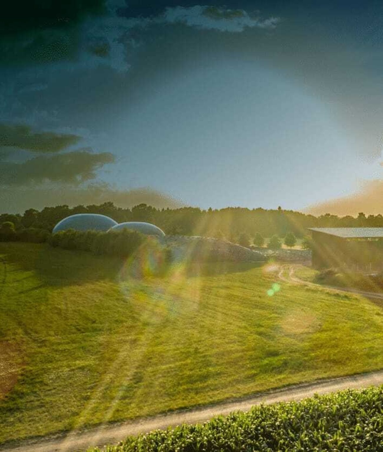 Rollover asia biogas